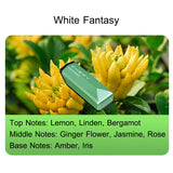 Aromatherapy System for Chery Exceed and Fengyun