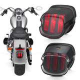 Tail Rear Lights LED Lamp Taillight With DRL Brake Stop Light Tail Light Assembly | Motorcycle Accessories ANGLELITE