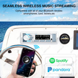 1Din Marine Stereo Radio Bluetooth 200W for RV UTV Android Head Unit OEM