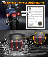 Black/Clear Led Taillight for Harley Davidson | Motorcycle Rear Brake Lights