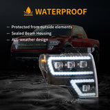 Projector Headlights Black for Ford F150 09-14