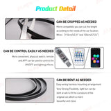 RGB USB Symphony Ambient Lights with App Control for Tesla LED Ambient Light MAGIC COLORM
