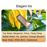 Aromatherapy System for Chery Exceed and Fengyun Automotive Air Freshener OEM type5